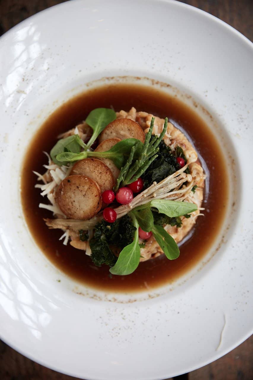 Exceptional Appetizers