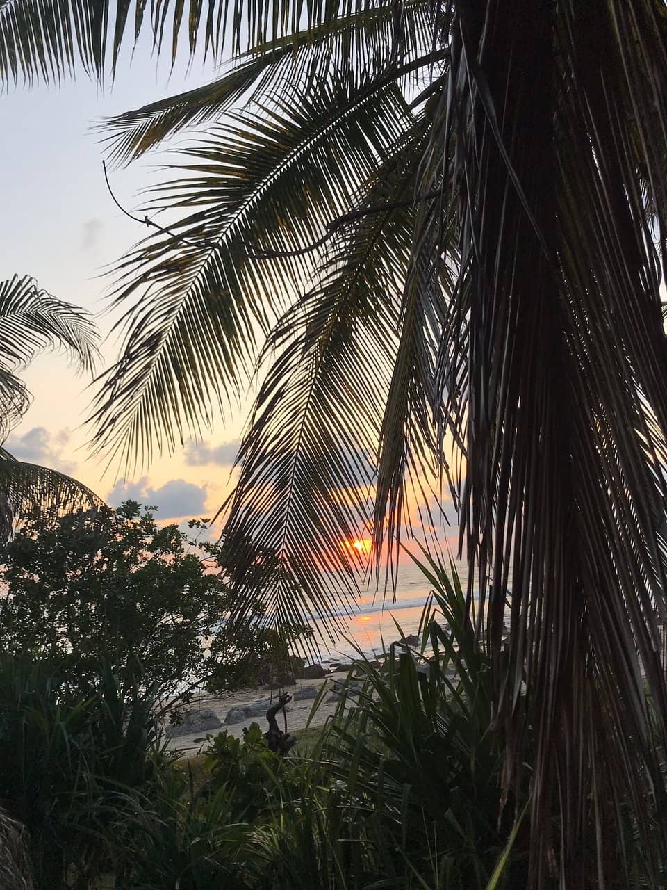 Authentic Local Charm