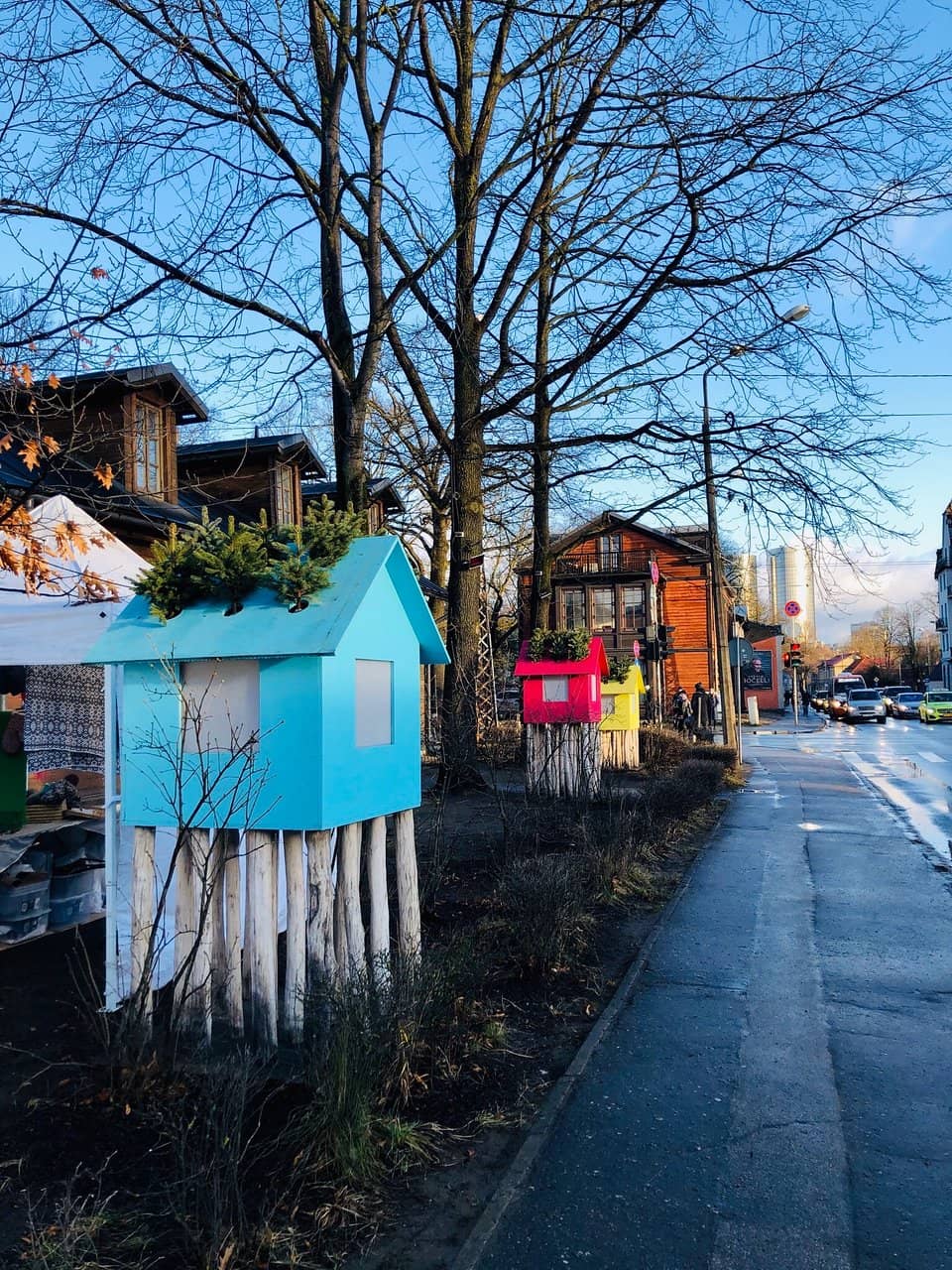 Live Music Performances