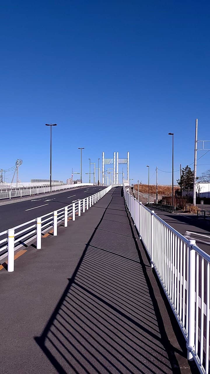 Modern Cable-Stayed Design