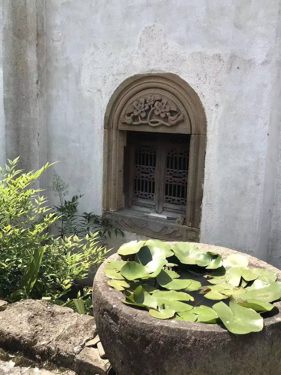 Evening Light Displays