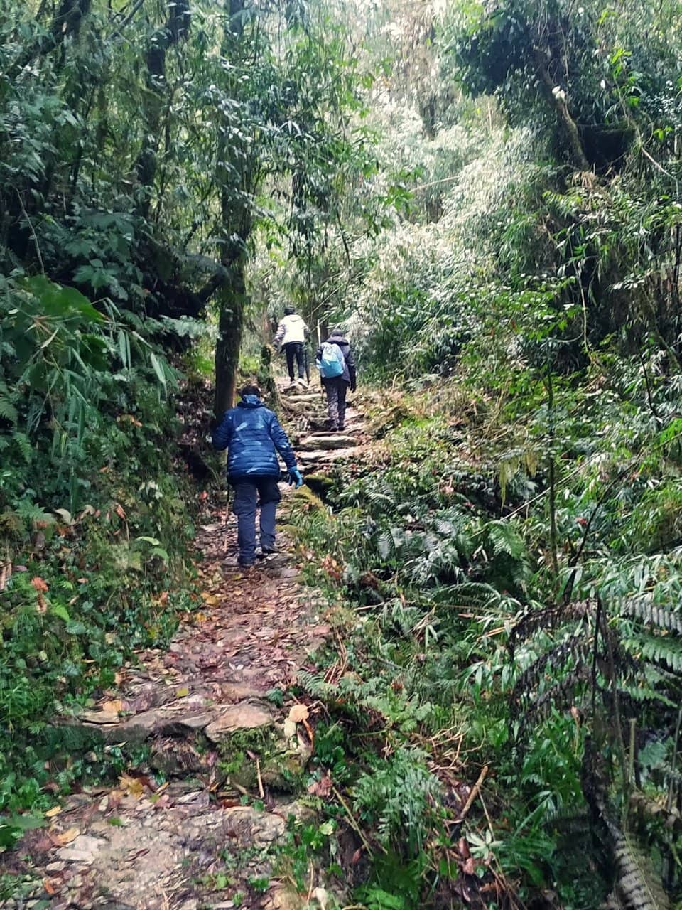 Birdwatching Opportunities