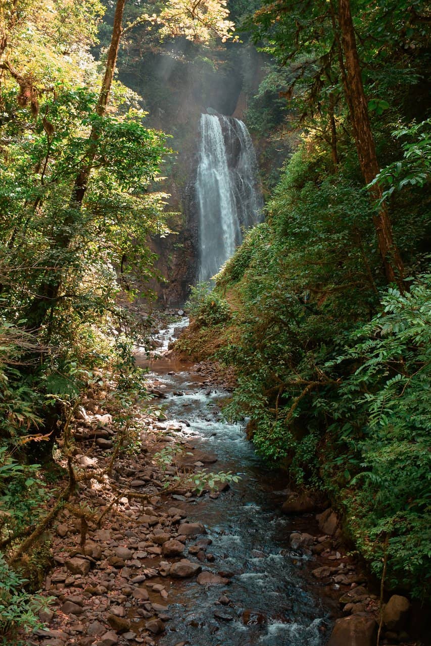 Vertical photo