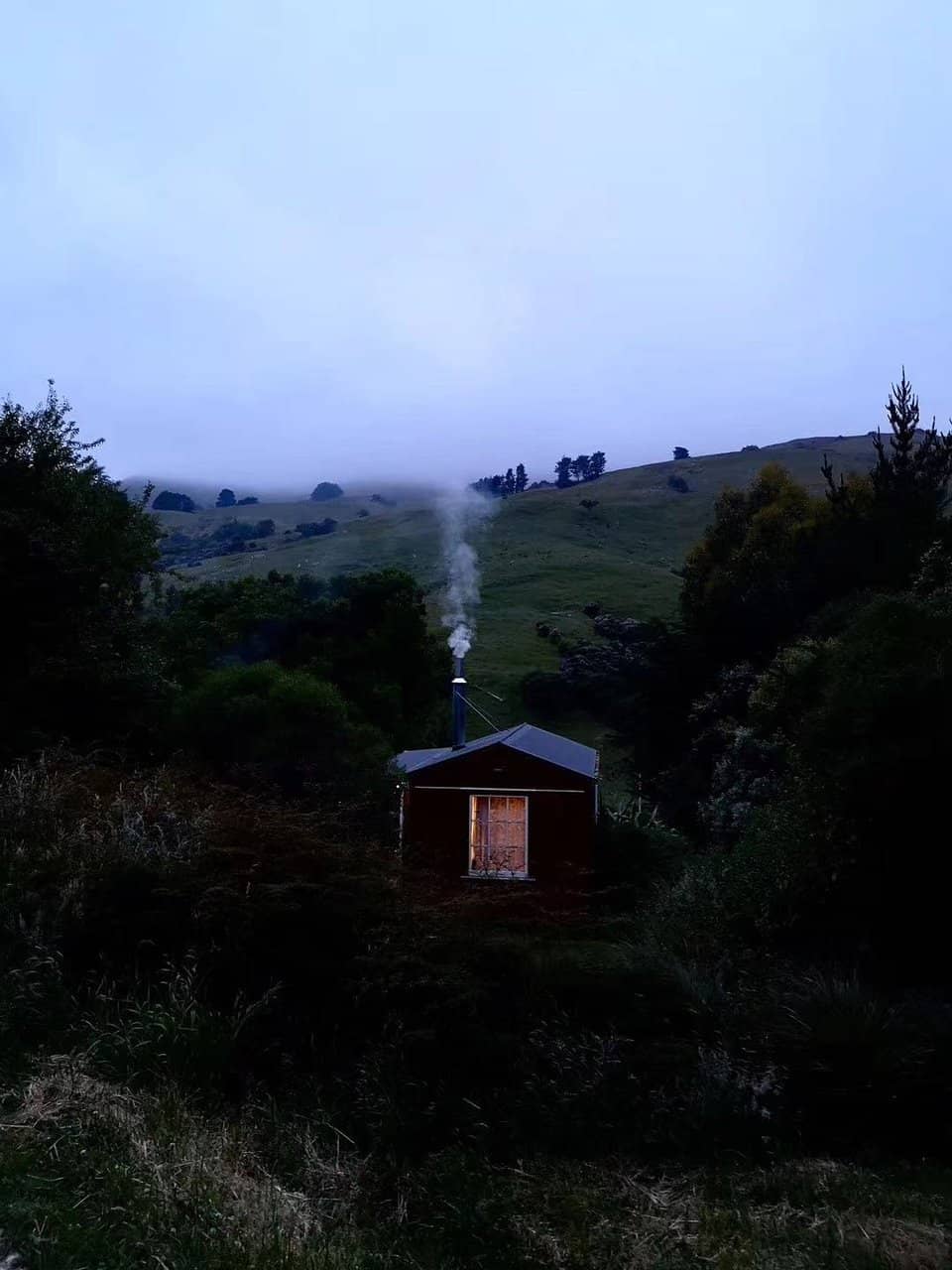 Vertical photo