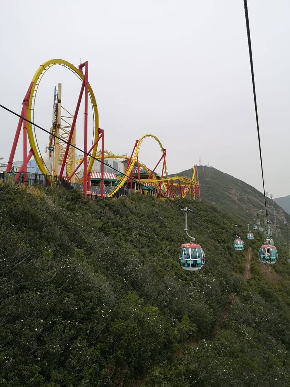 Panda Habitat