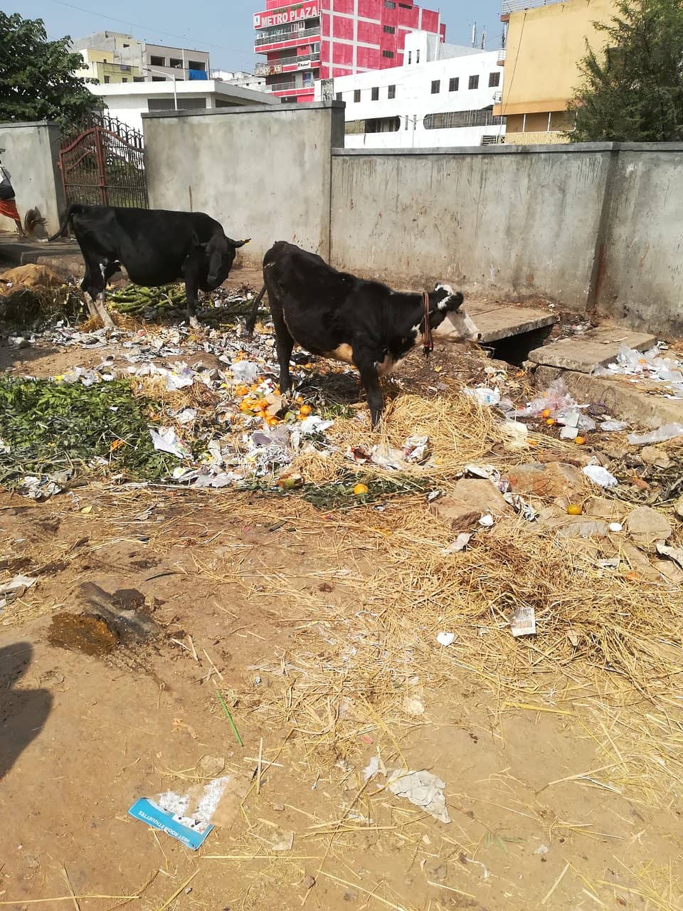 Wholesale Saree Paradise