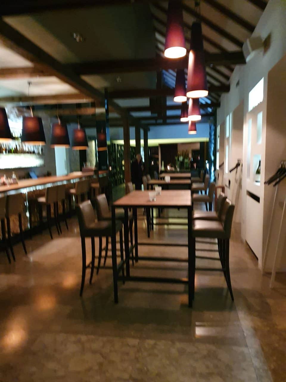 Tranquil Forest Setting