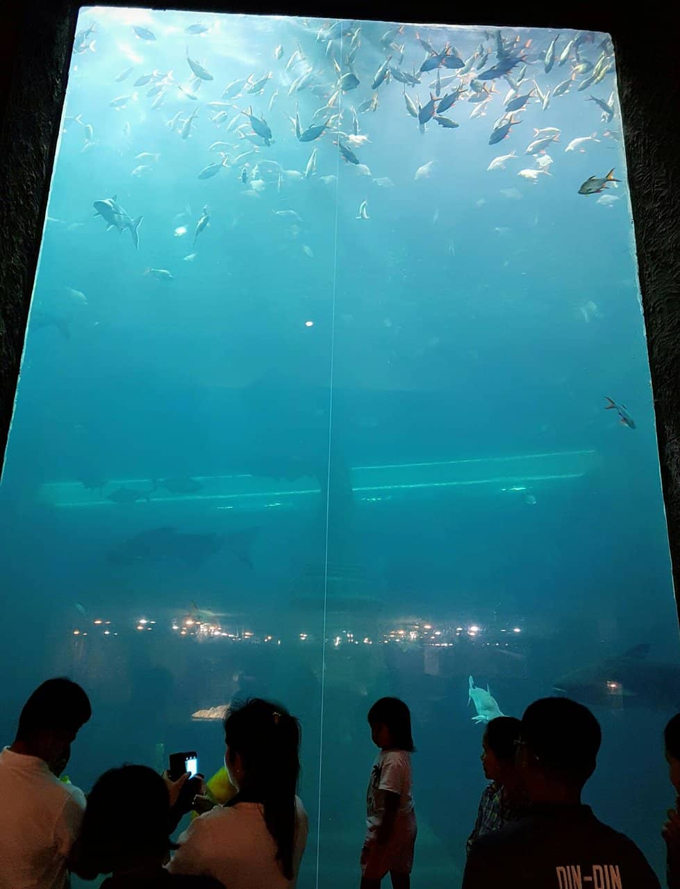 Kid-Friendly Educational Displays