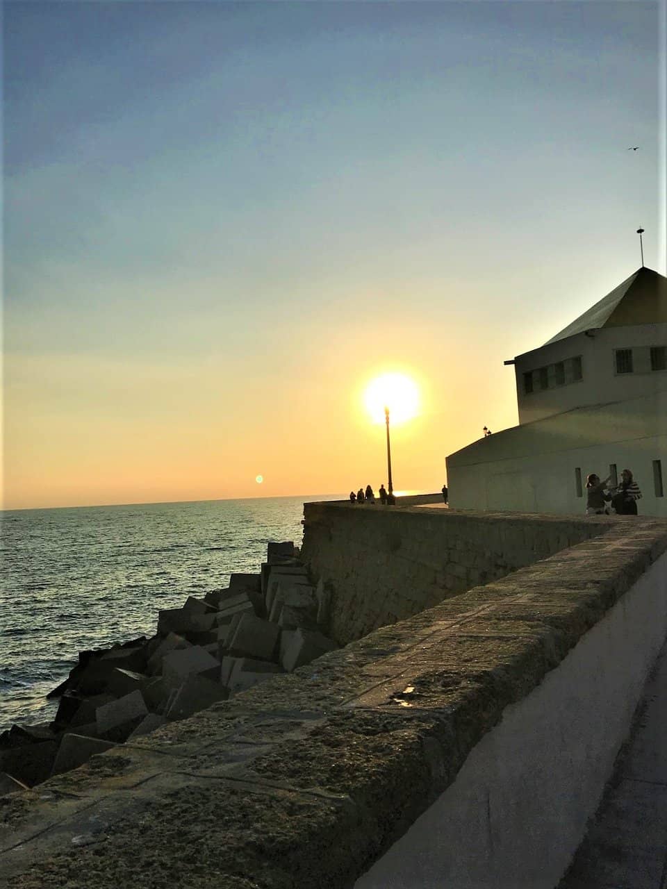 Vertical photo