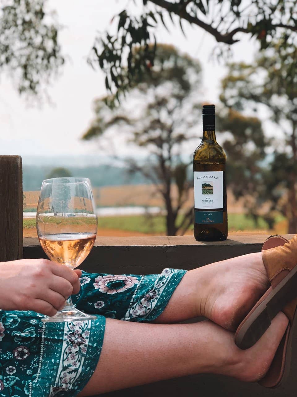 Dog-Friendly Cellar Door