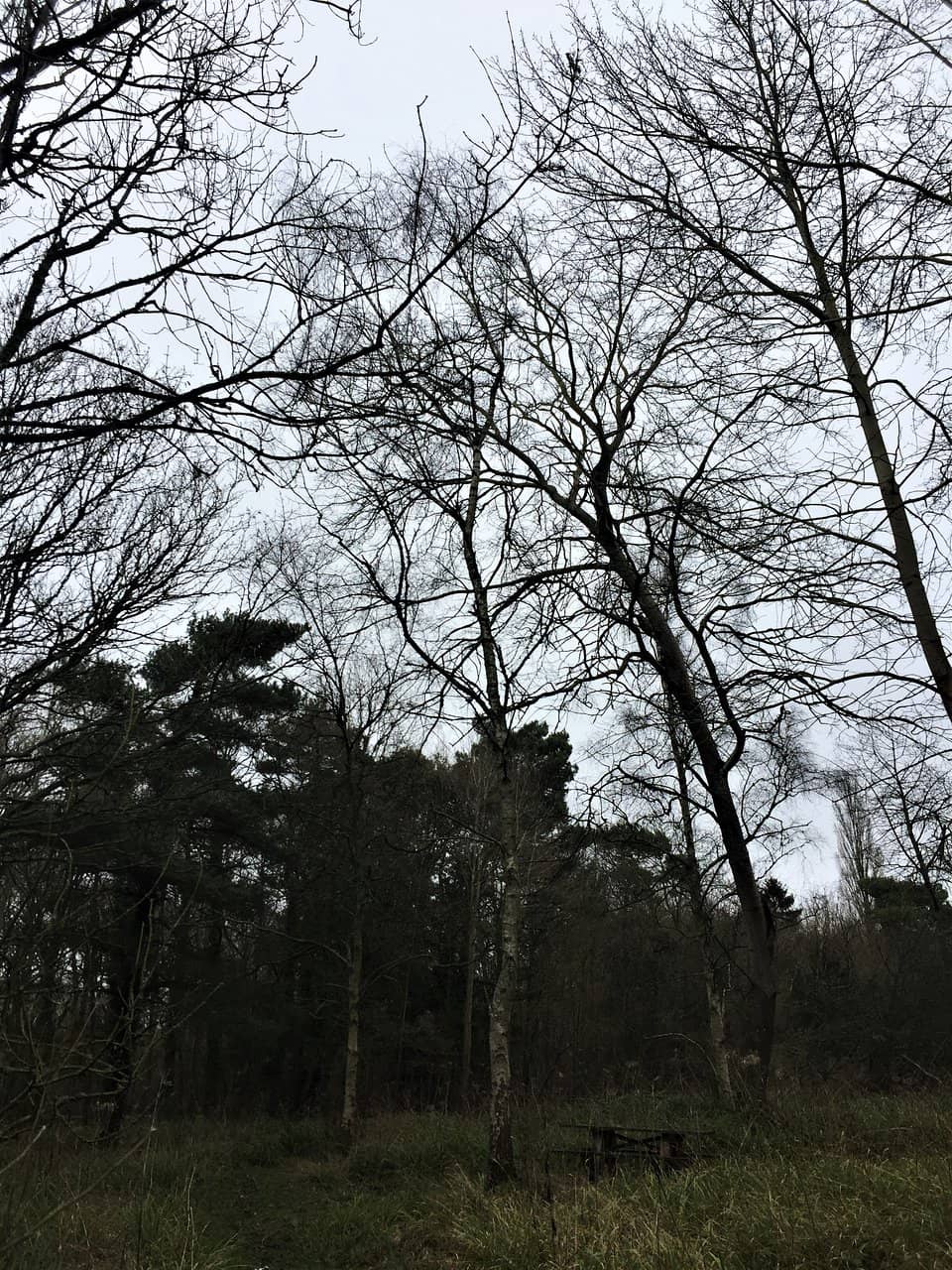 Vertical photo