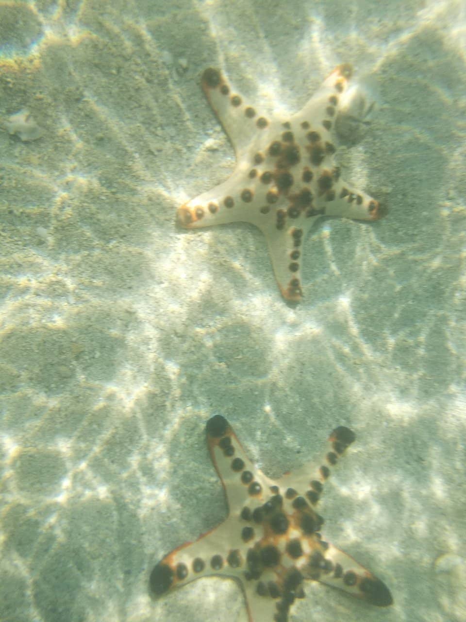 Crystal Clear Waters