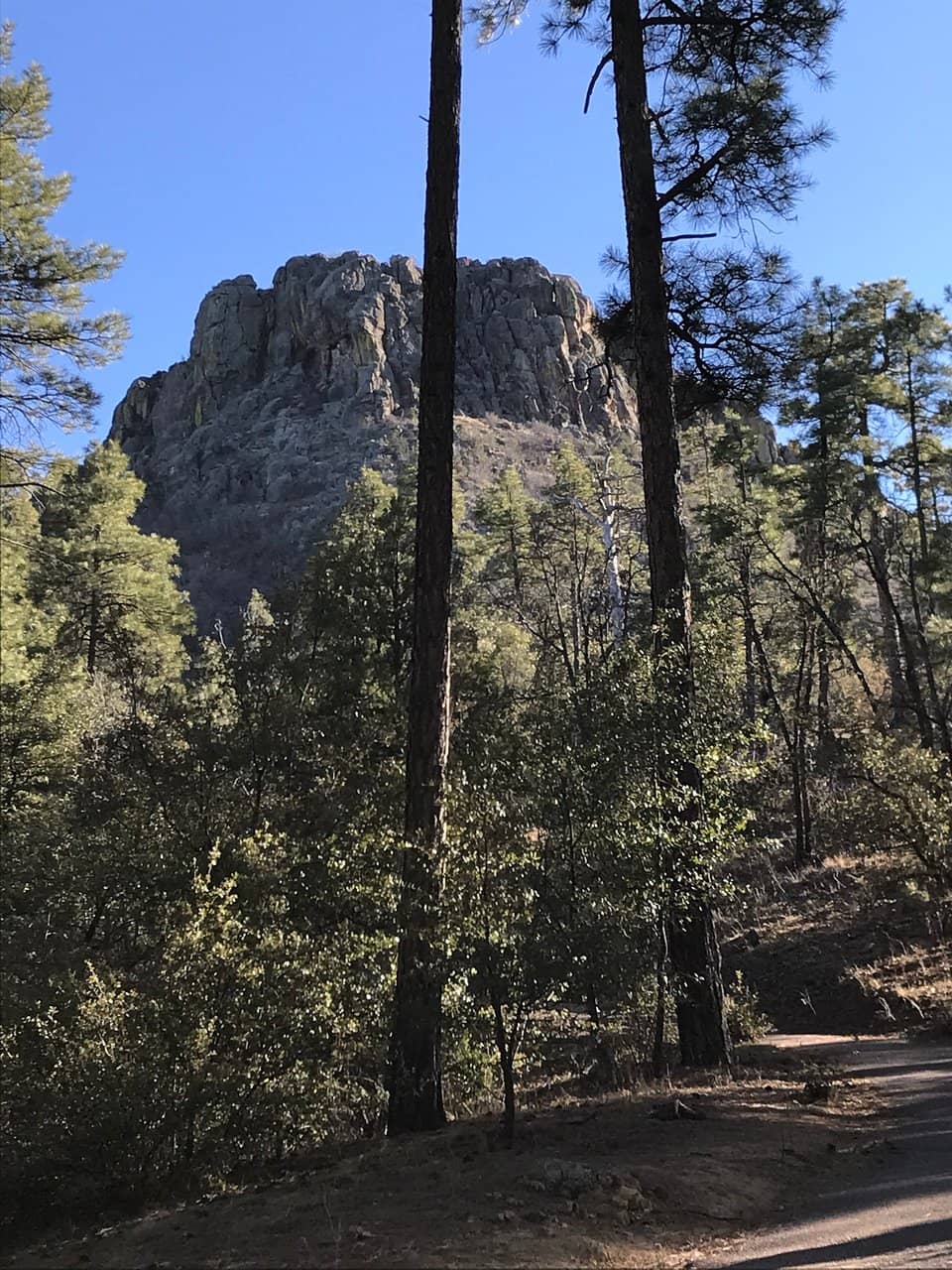 Connector Trail 325