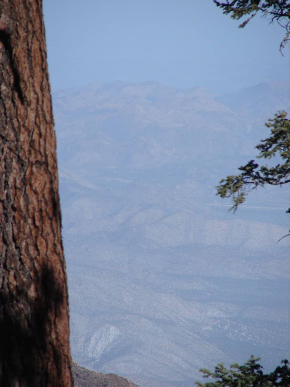 Vertical photo