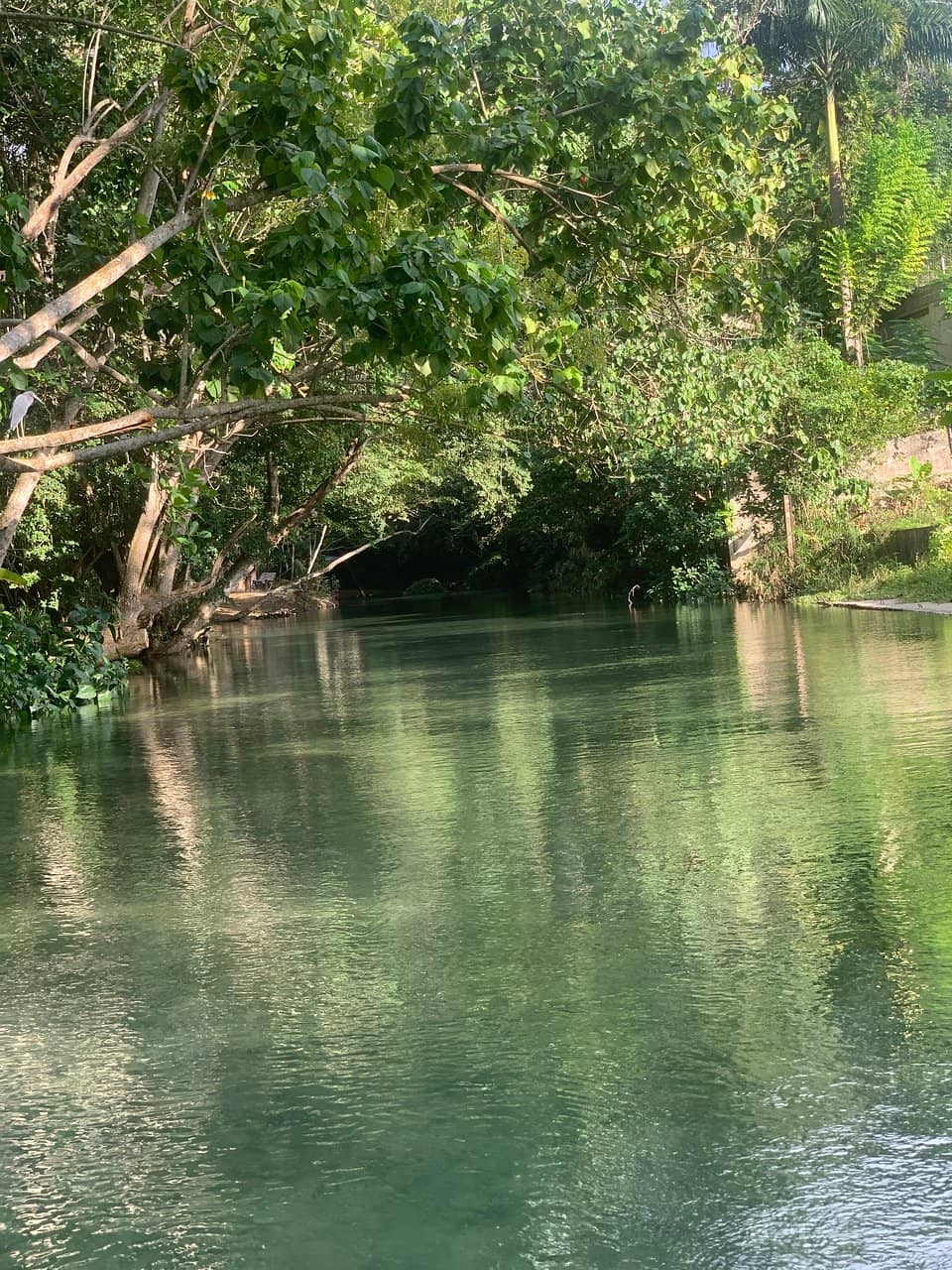 Optional River Swim & Lunch