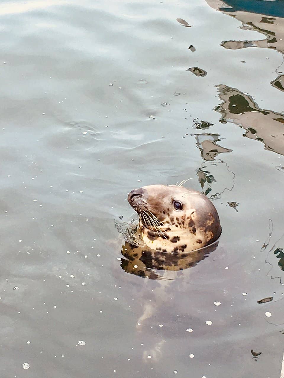 Unique Travel Experience