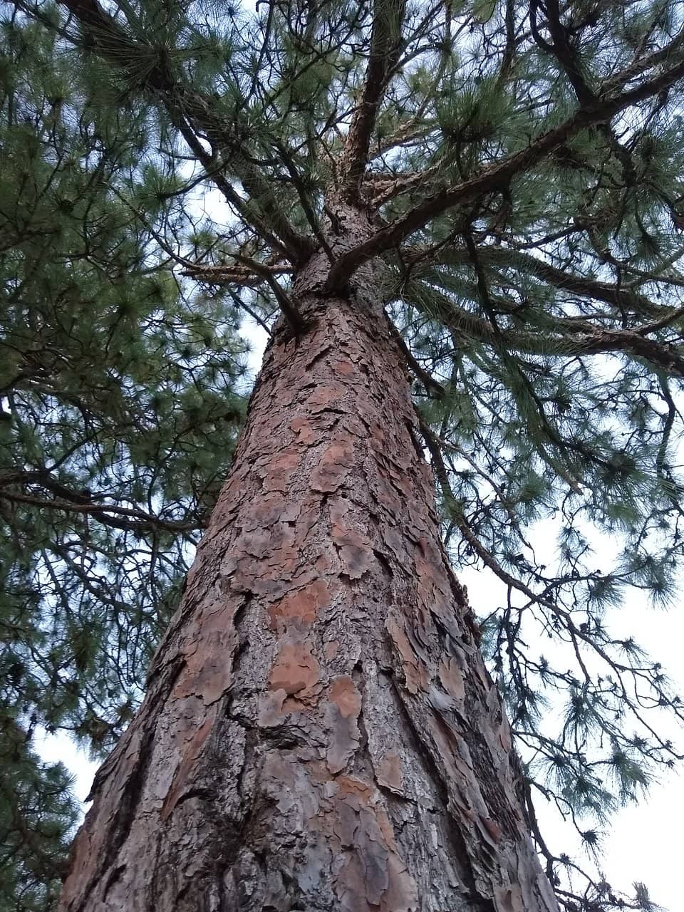 Tranquil Reservoir Views