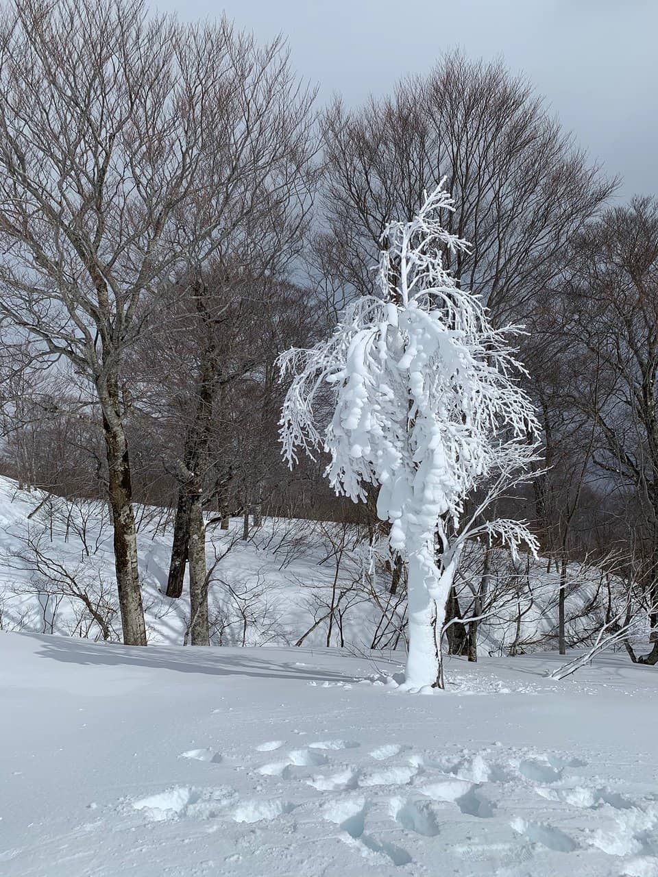 Mitsumata Ropeway Views