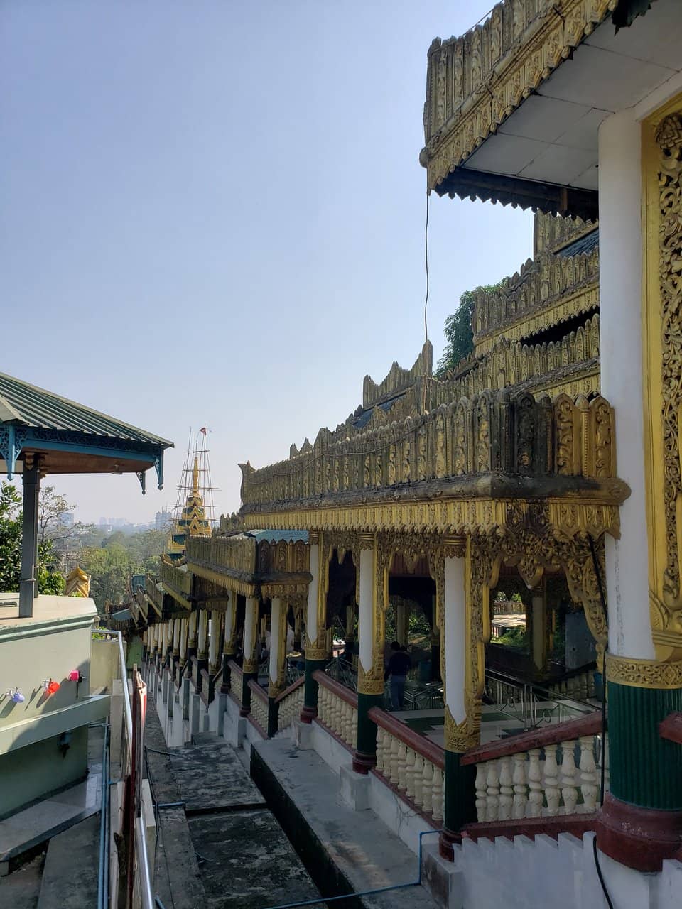 Vertical photo