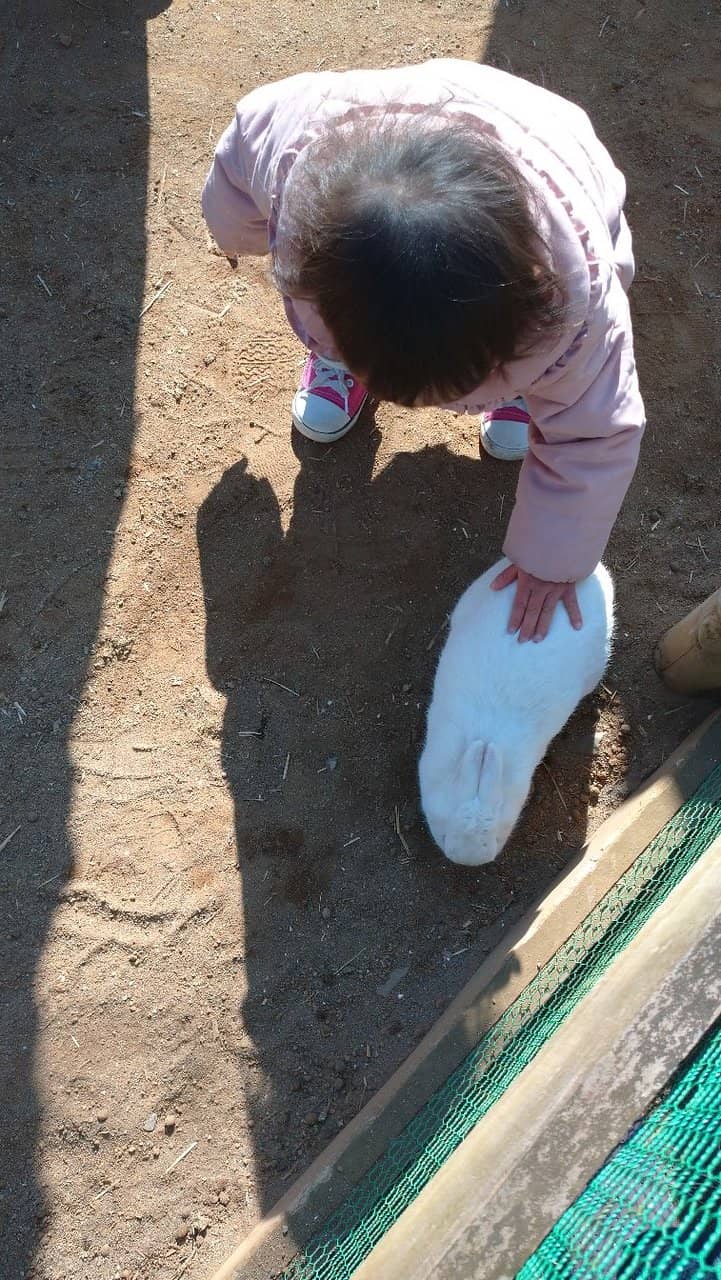 Kid-Friendly Activities