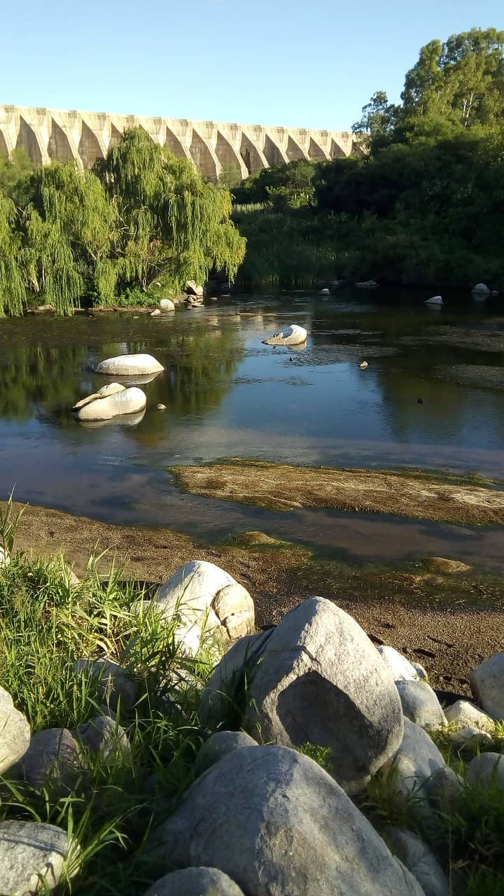 Natural Oasis