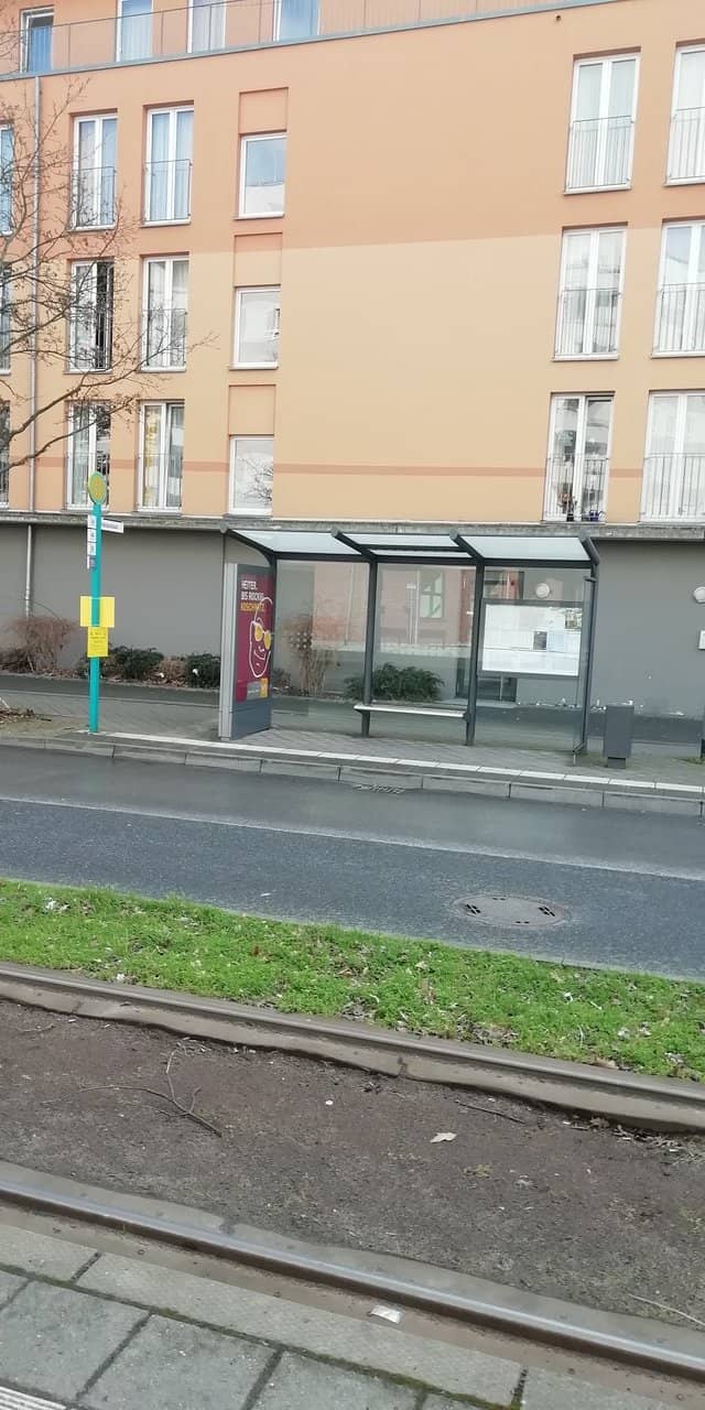 Serene Lake and Birdlife