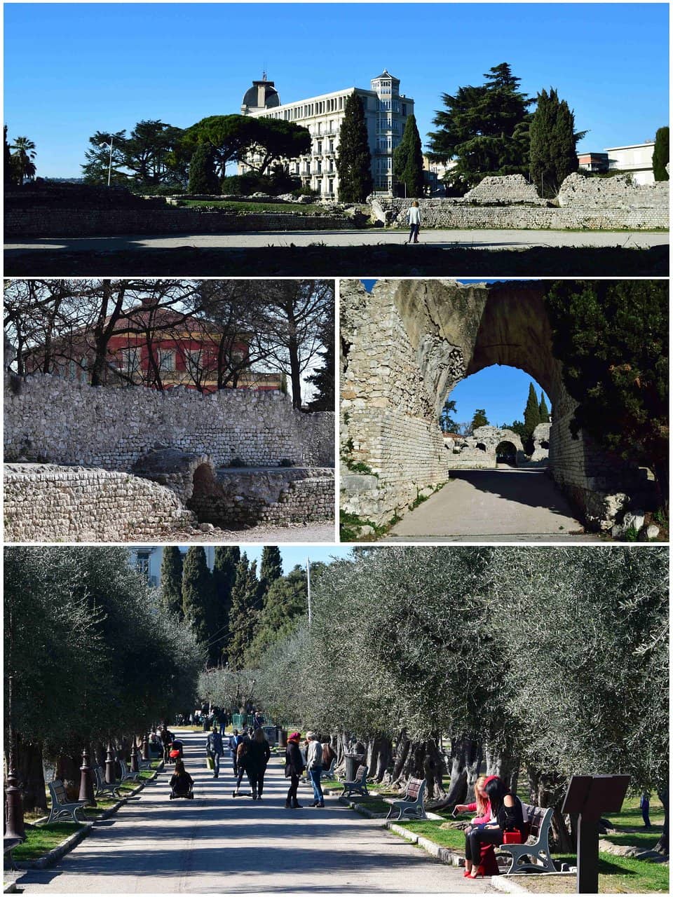 Vertical photo
