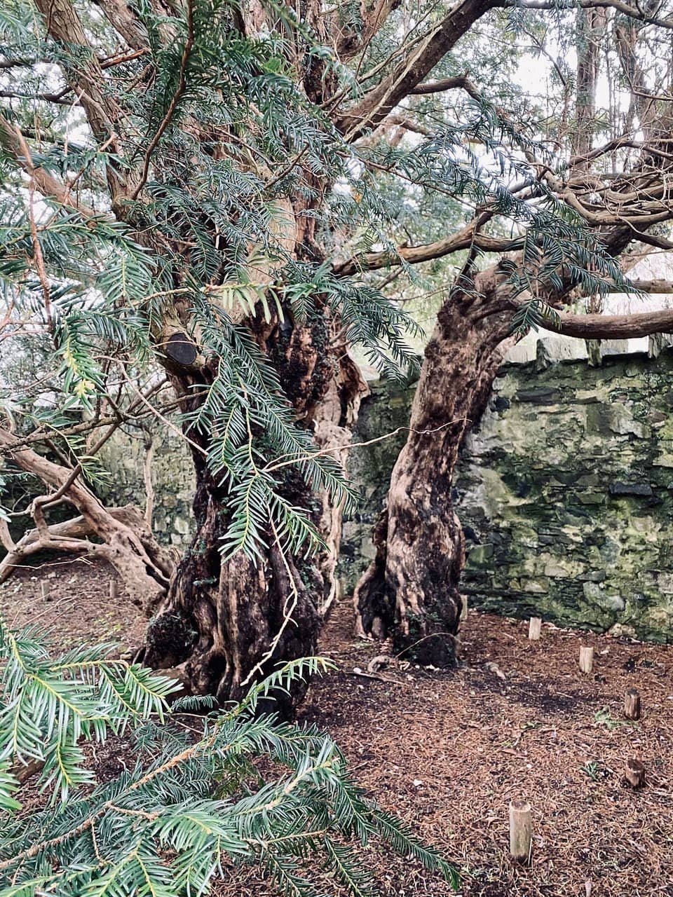 Fortingall Village Charm