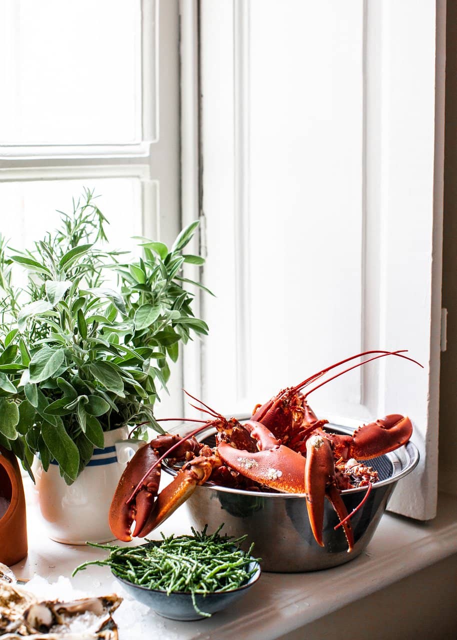 Modern Greek & International Cuisine