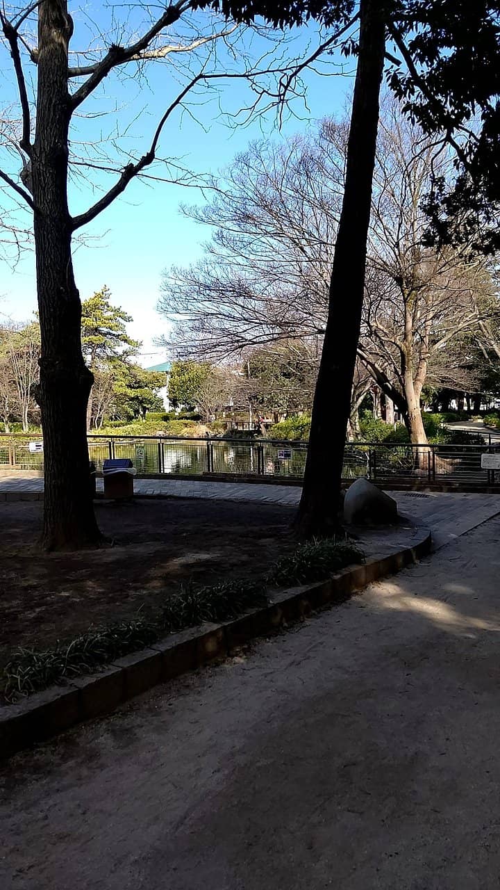 The Pond Island