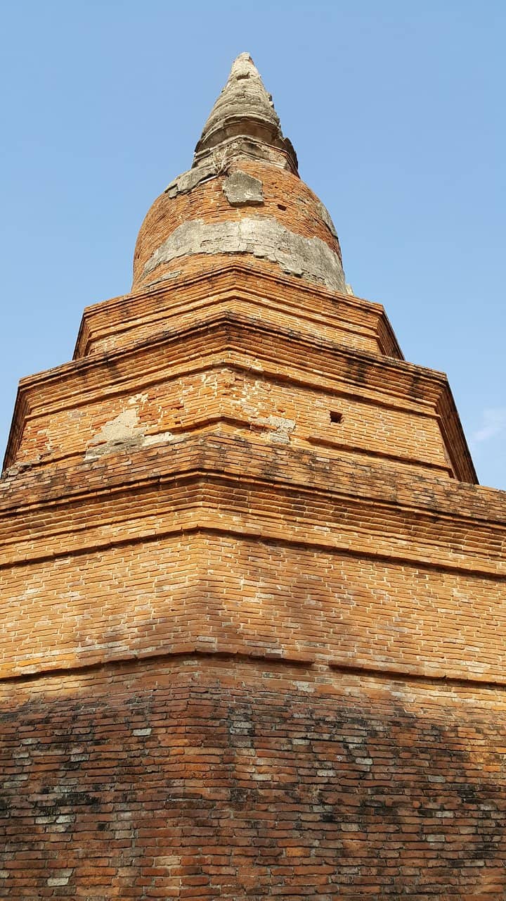 Tranquil Jungle Trail