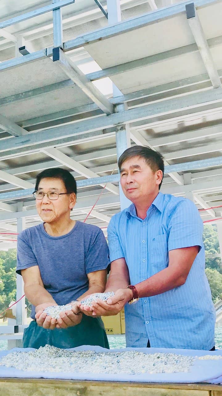 Pearl Extraction Demo