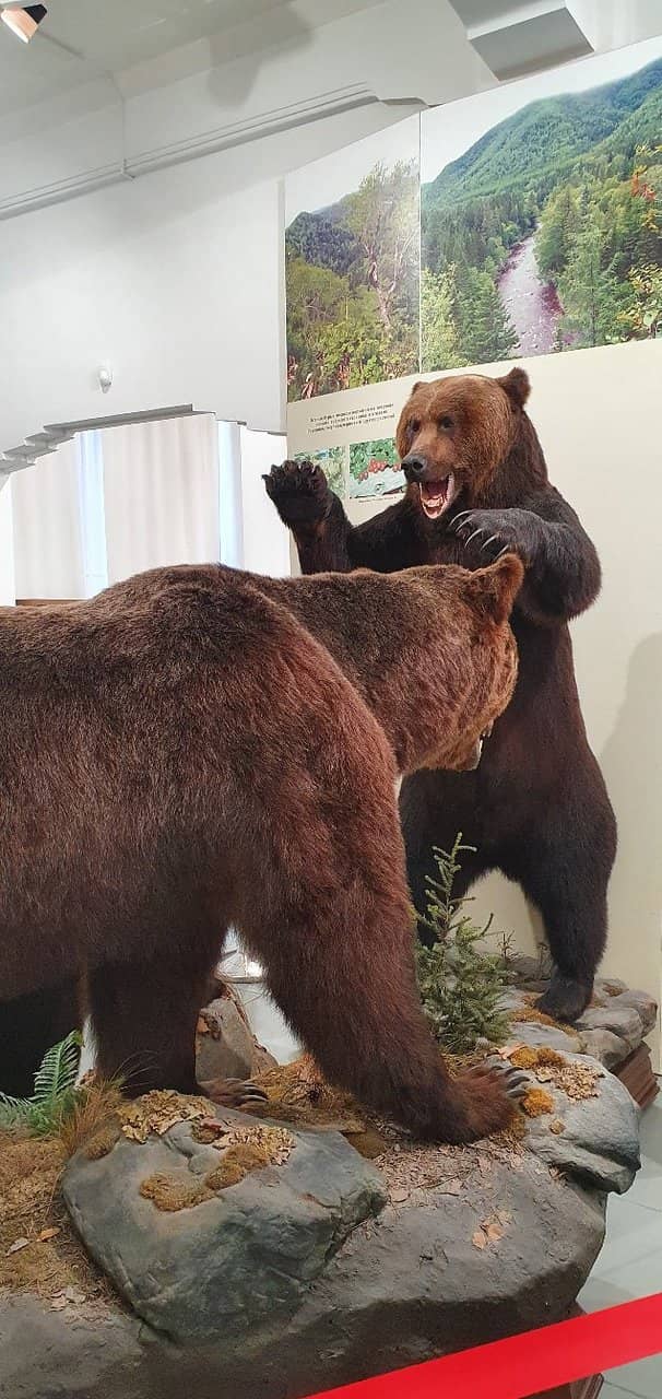 Aboriginal Culture Exhibits