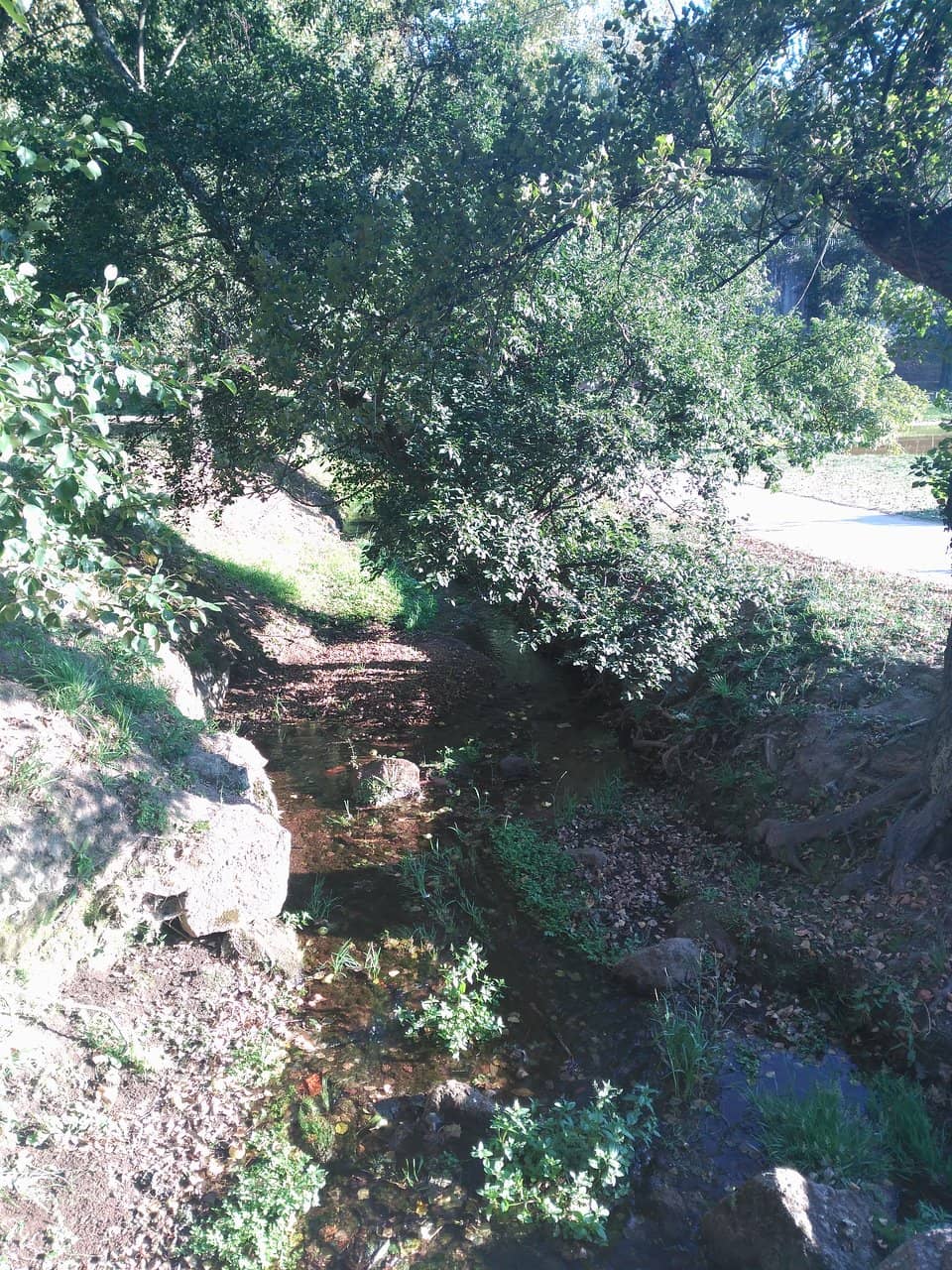 Family Picnic Spots