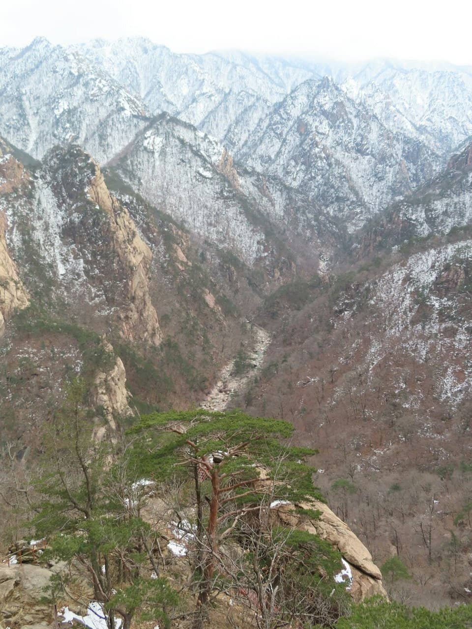 Panoramic Mountain Vistas