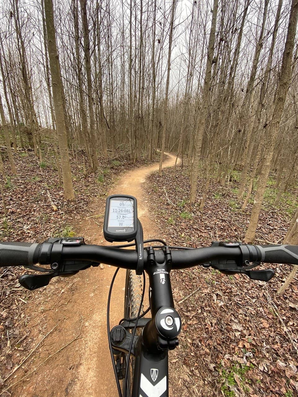 Vertical photo