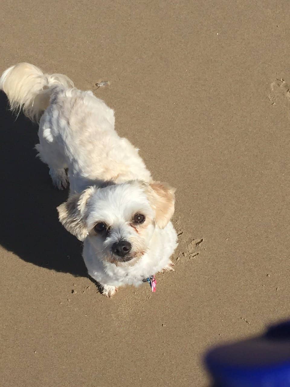 Coffee Rock Formations