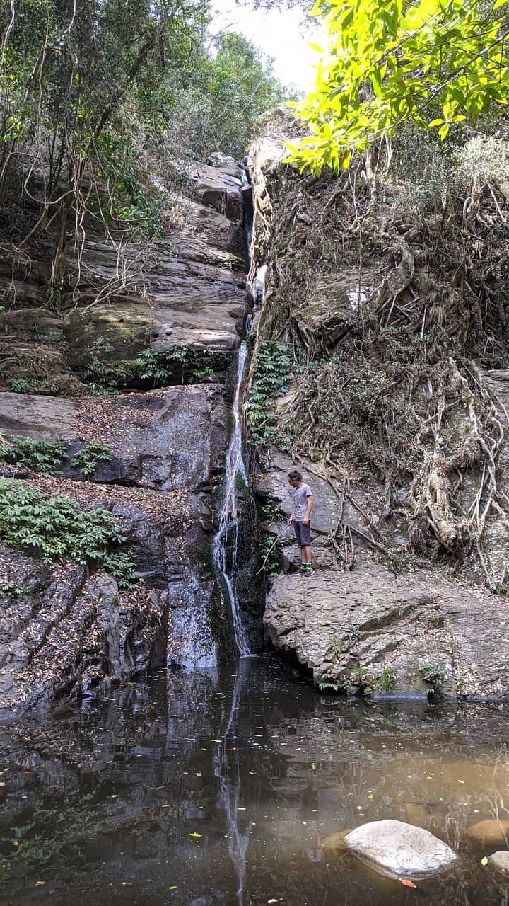 Vertical photo