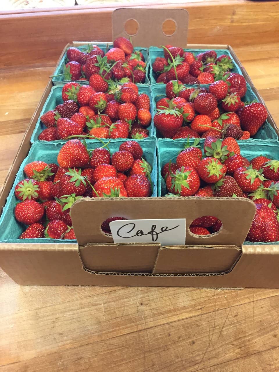 Serene Outdoor Courtyard