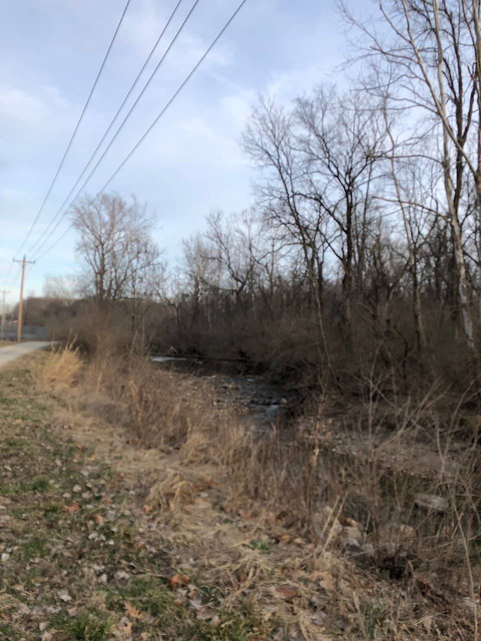 Shaded Picnic Pavilions
