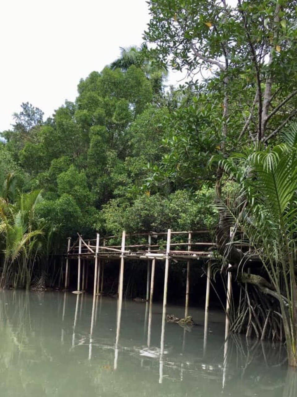 Local Hospitality & Serenade