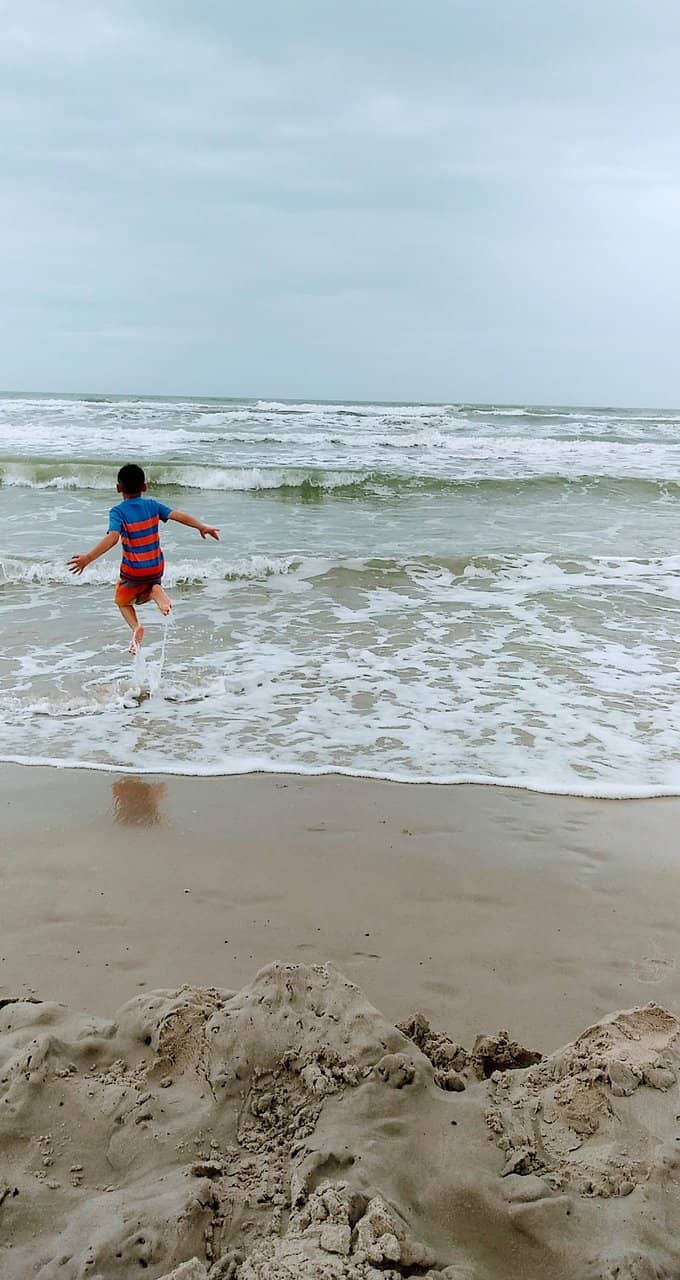 Dog-Friendly Paradise