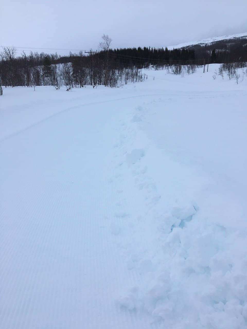 Fjord and Mountain Landscapes