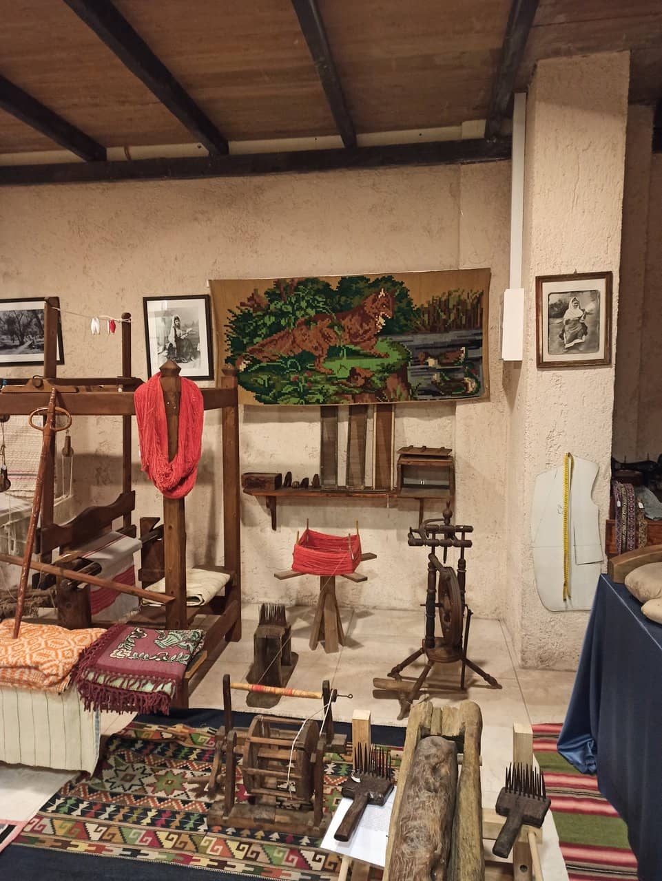 Old Bookshelf Display