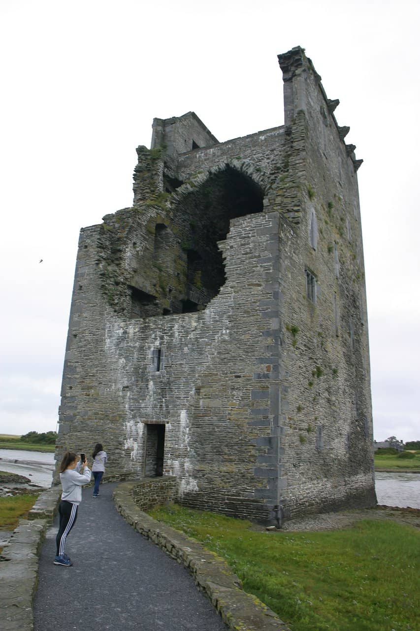 Shannon Estuary Views