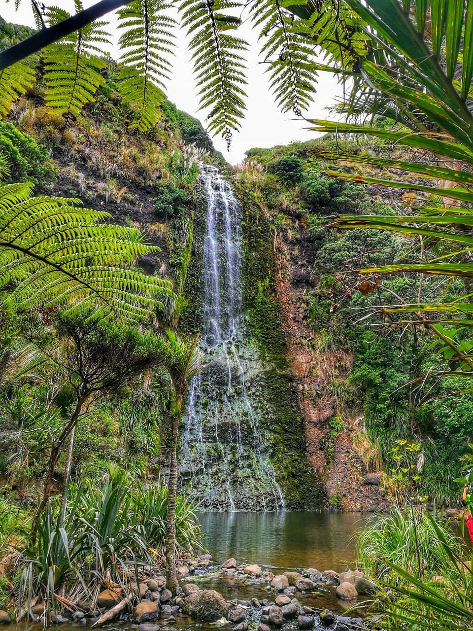 The Short, Scenic Walk