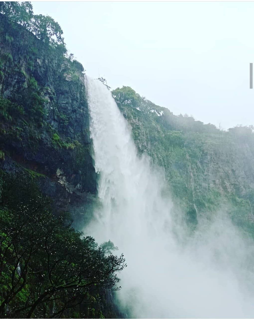 Lush Greenery & Views