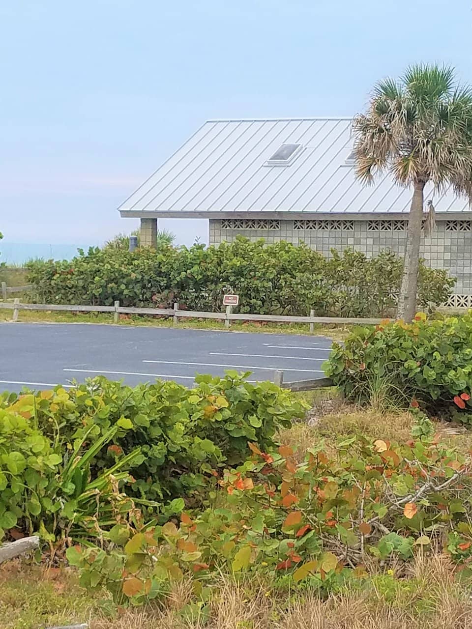 Peaceful Sunbathing & Swimming
