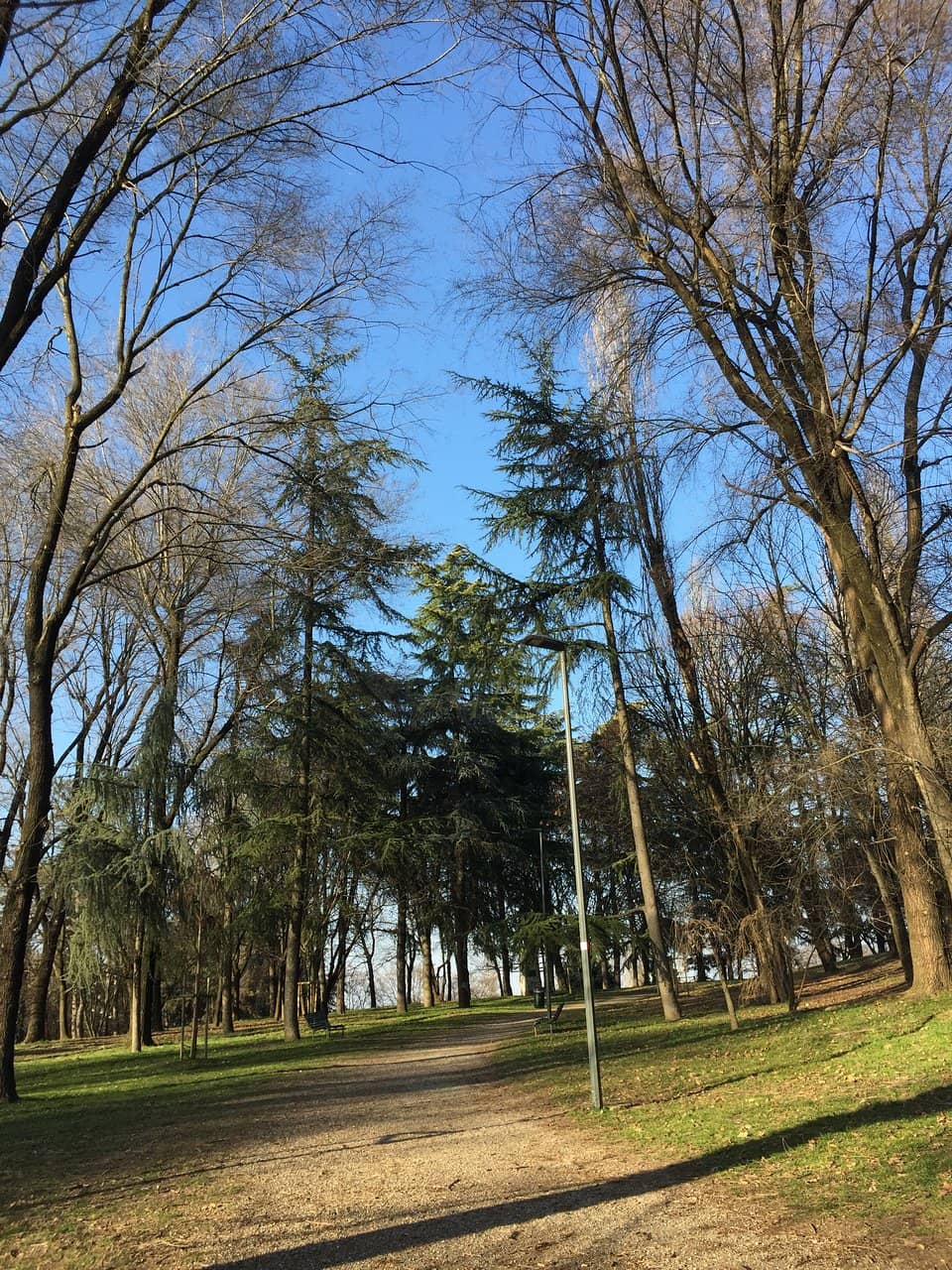 World War II Memorial
