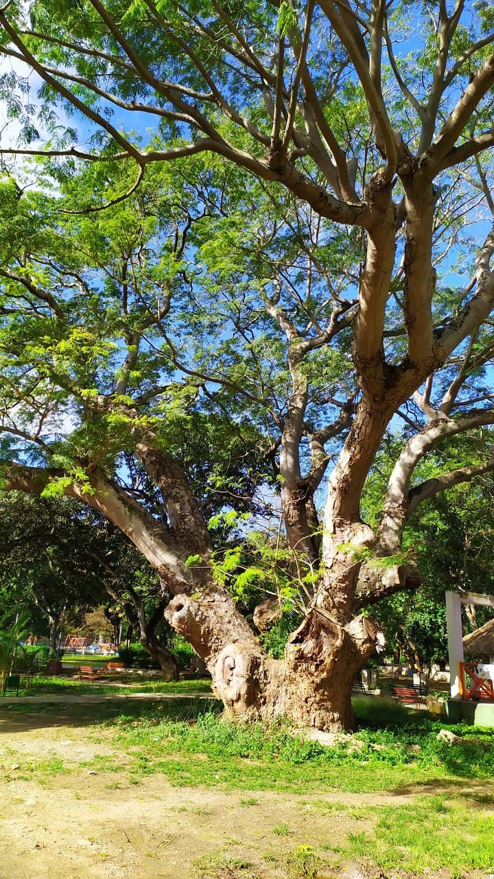 Amphitheater Serenity